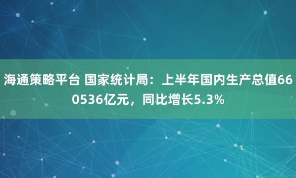 海通策略平台 国家统计局：上半年国内生产总值660536亿元，同比增长5.3%
